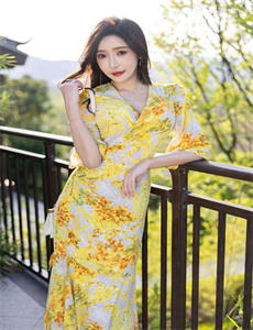 七龙珠gt国语版